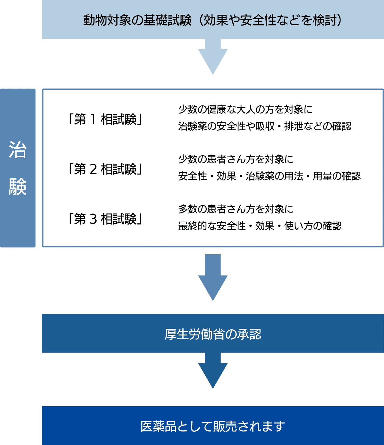 お薬ができるまで