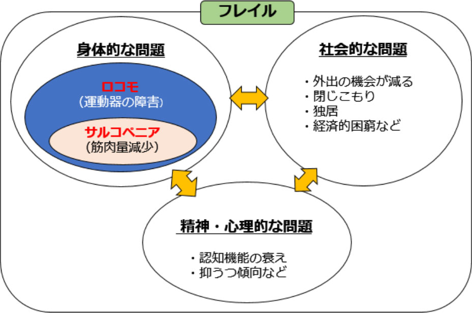 フレイル予防の取り組み